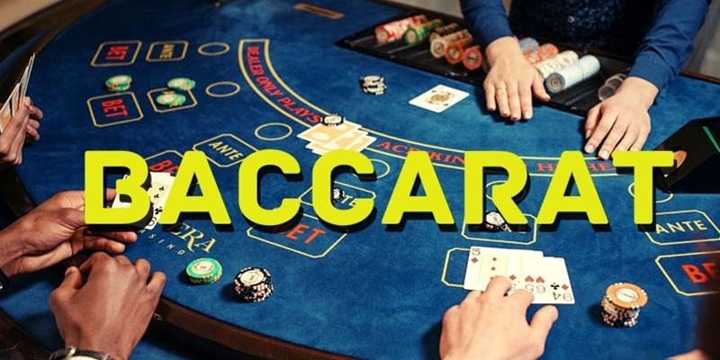 Baccarat VN6