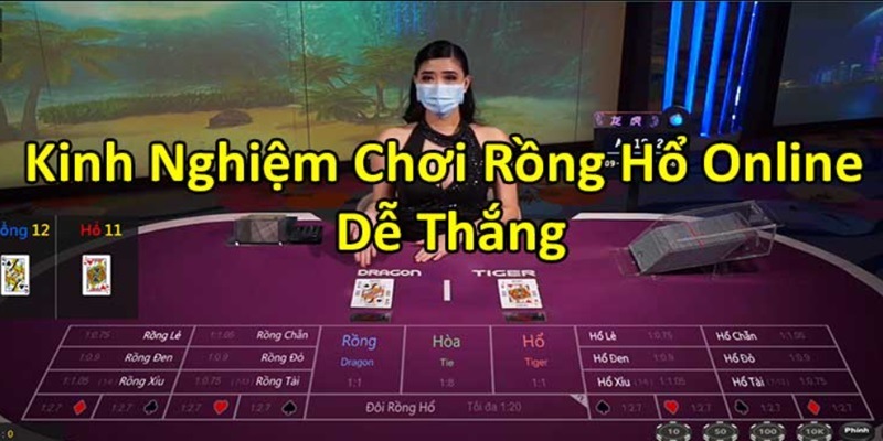 Mẹo giúp bạn chinh phục các cửa Rồng Hổ online hiệu quả