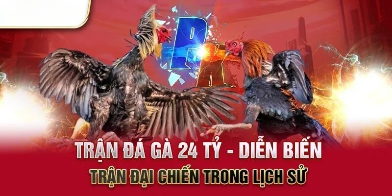 Trận đá gà 24 tỷ